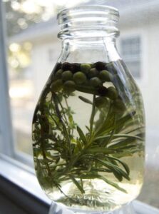 Juniper Bitters Image
